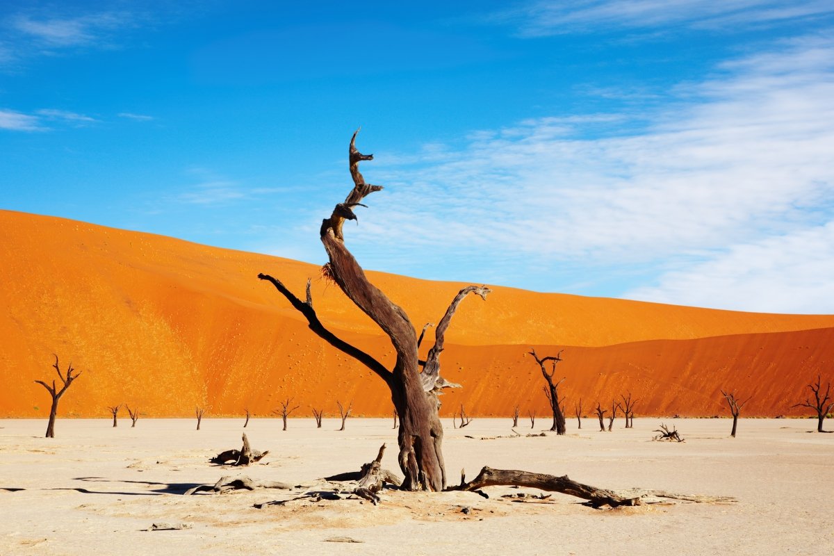 Discover Namibia: A Journey Through Culture, Geography, and Adventure