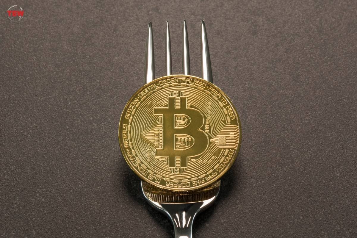 A Deep Dive into Blockchain Divergence: Bitcoin Forks | The Enterprise World